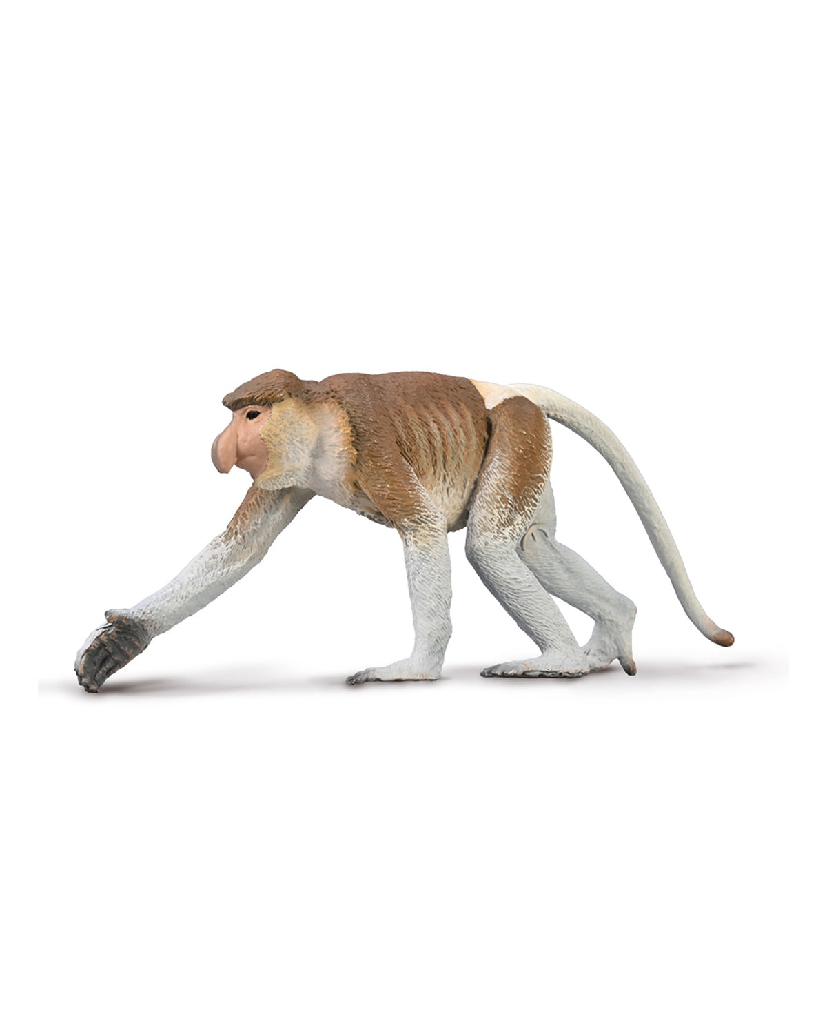 Coll L Proboscis Monkey — Kidstuff