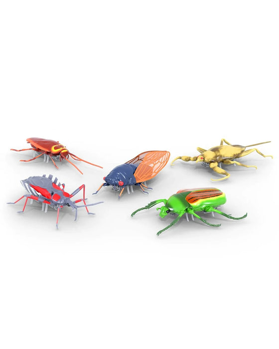 Hexbug Nano Real Bugs 5 Pack