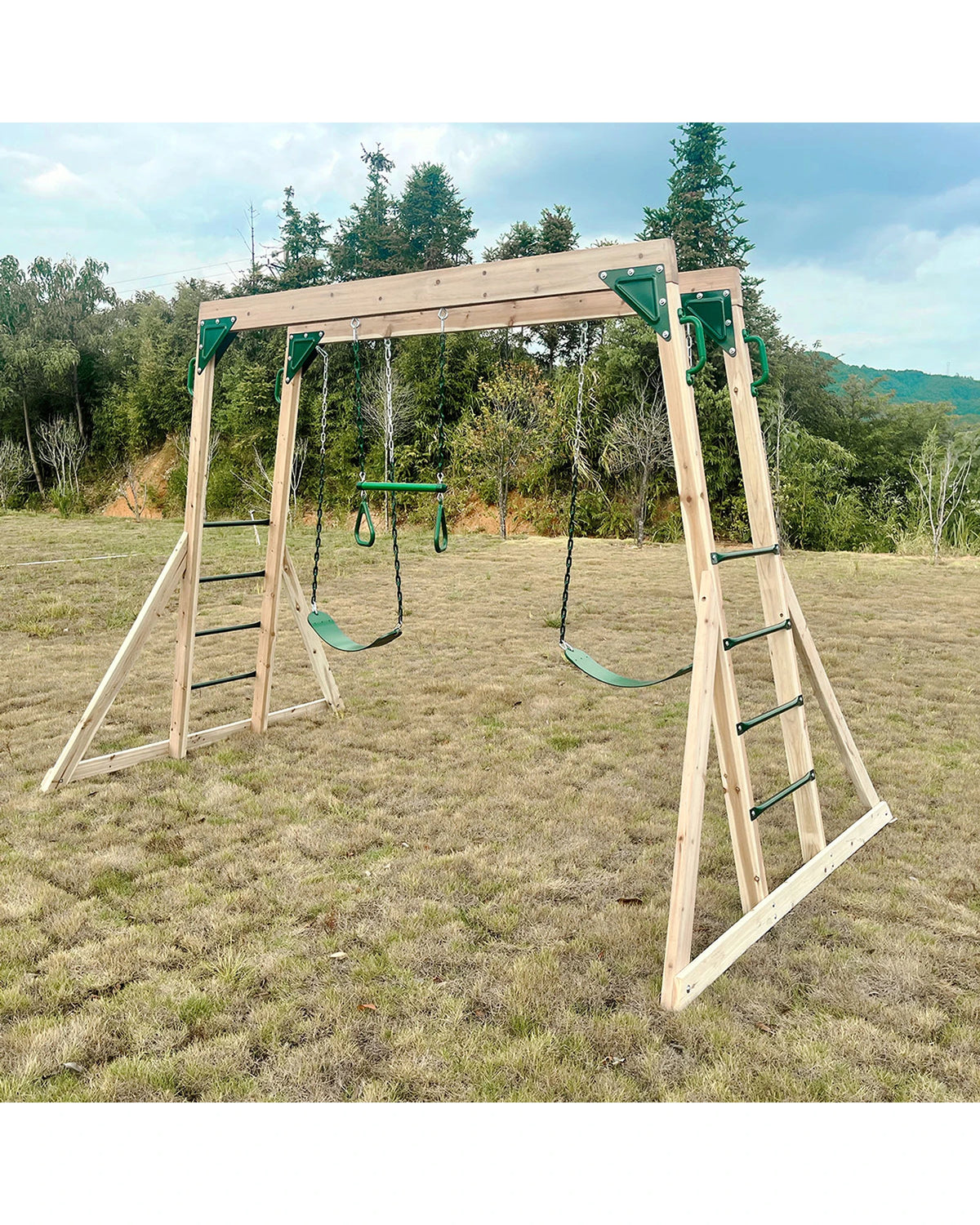 Lifespan Kids Daintree 2 in 1 Monkey Bars and Swing Set — Kidstuff