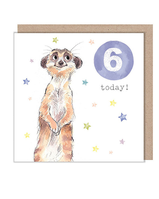 Waterlyn Paper Shed Meerkat Age 6