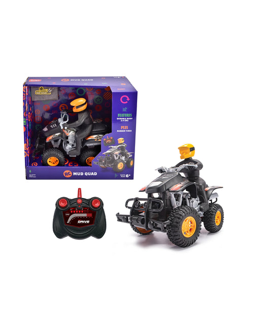 Remote control ride on quad bike sale