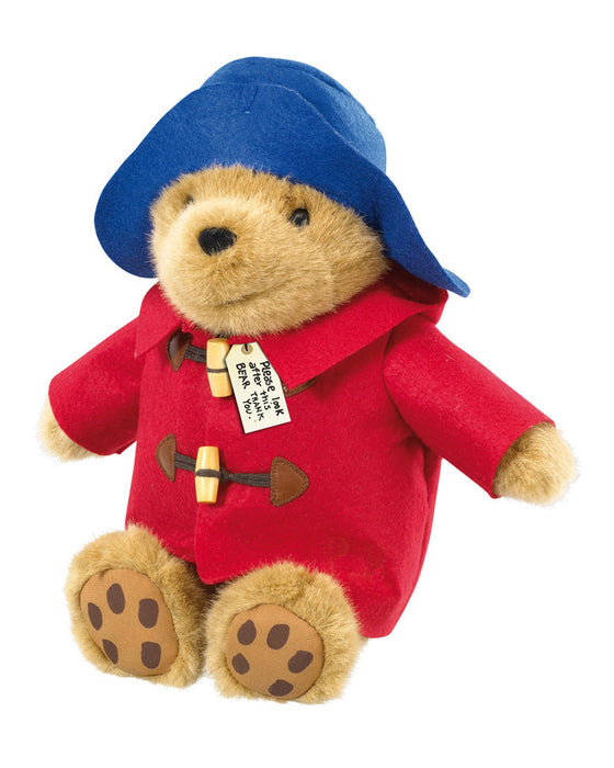 Paddington Bear Sitting