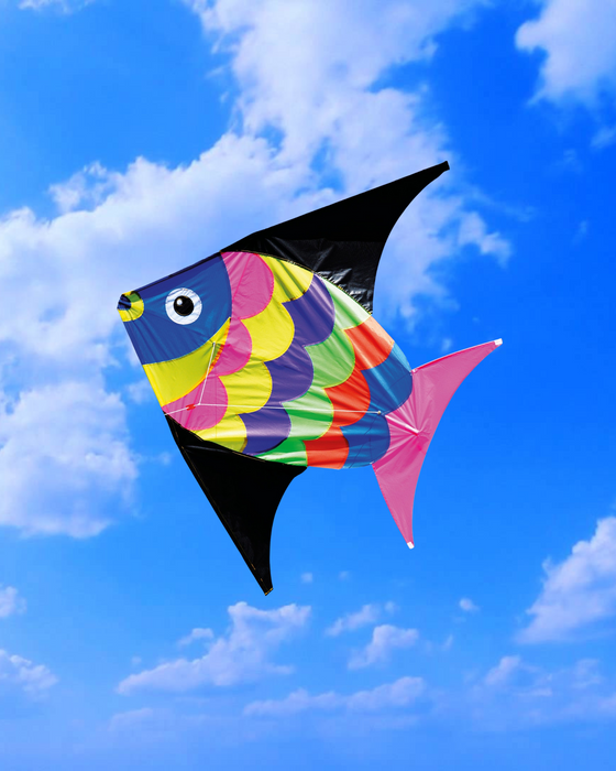 Freeplay Kids Skyray Kite — Kidstuff
