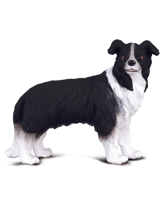 CollectA M Border Collie