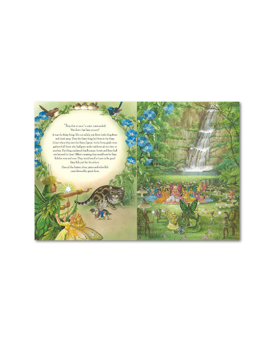 Rainbow Magic Hardback