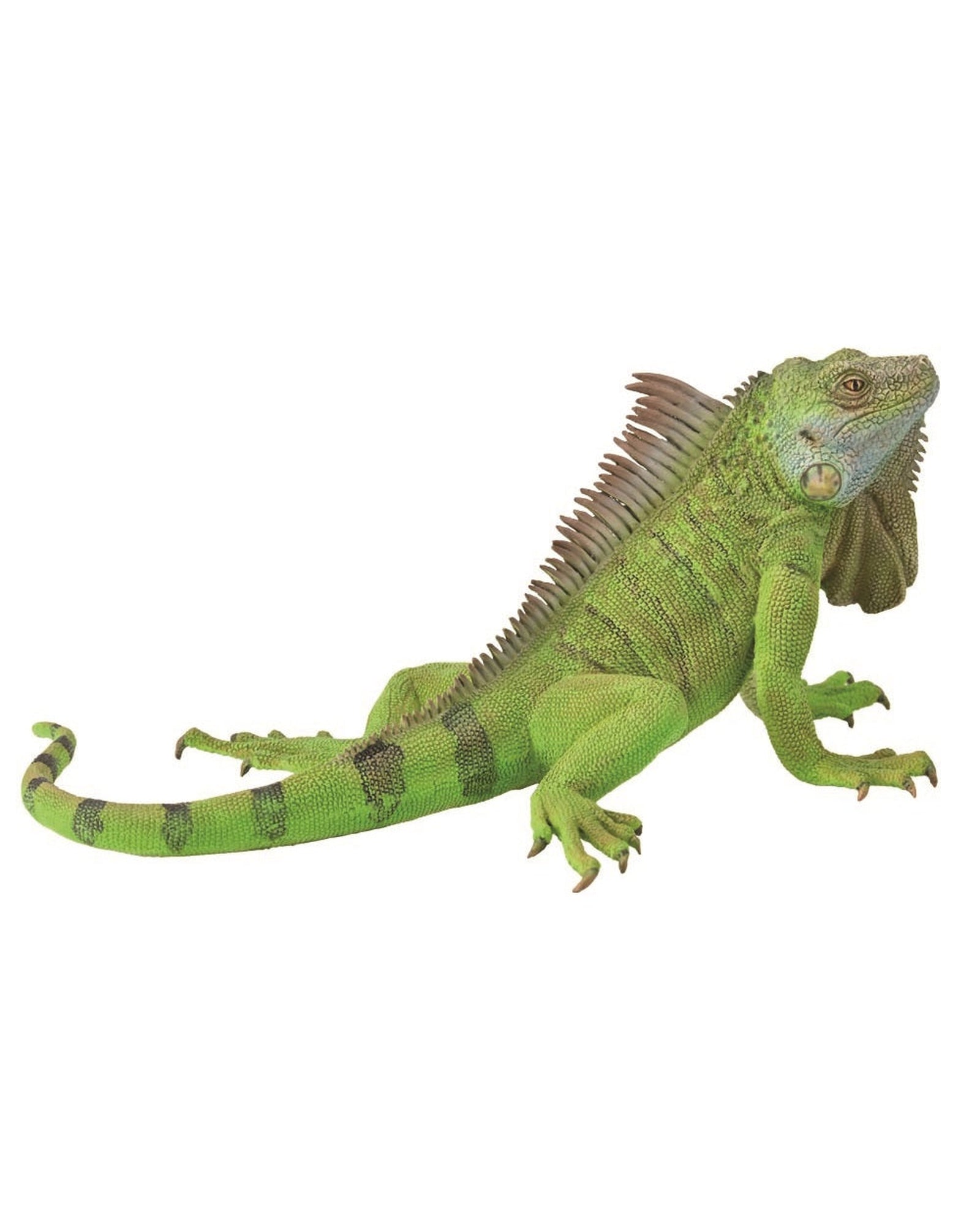 Jellycat iguana hot sale