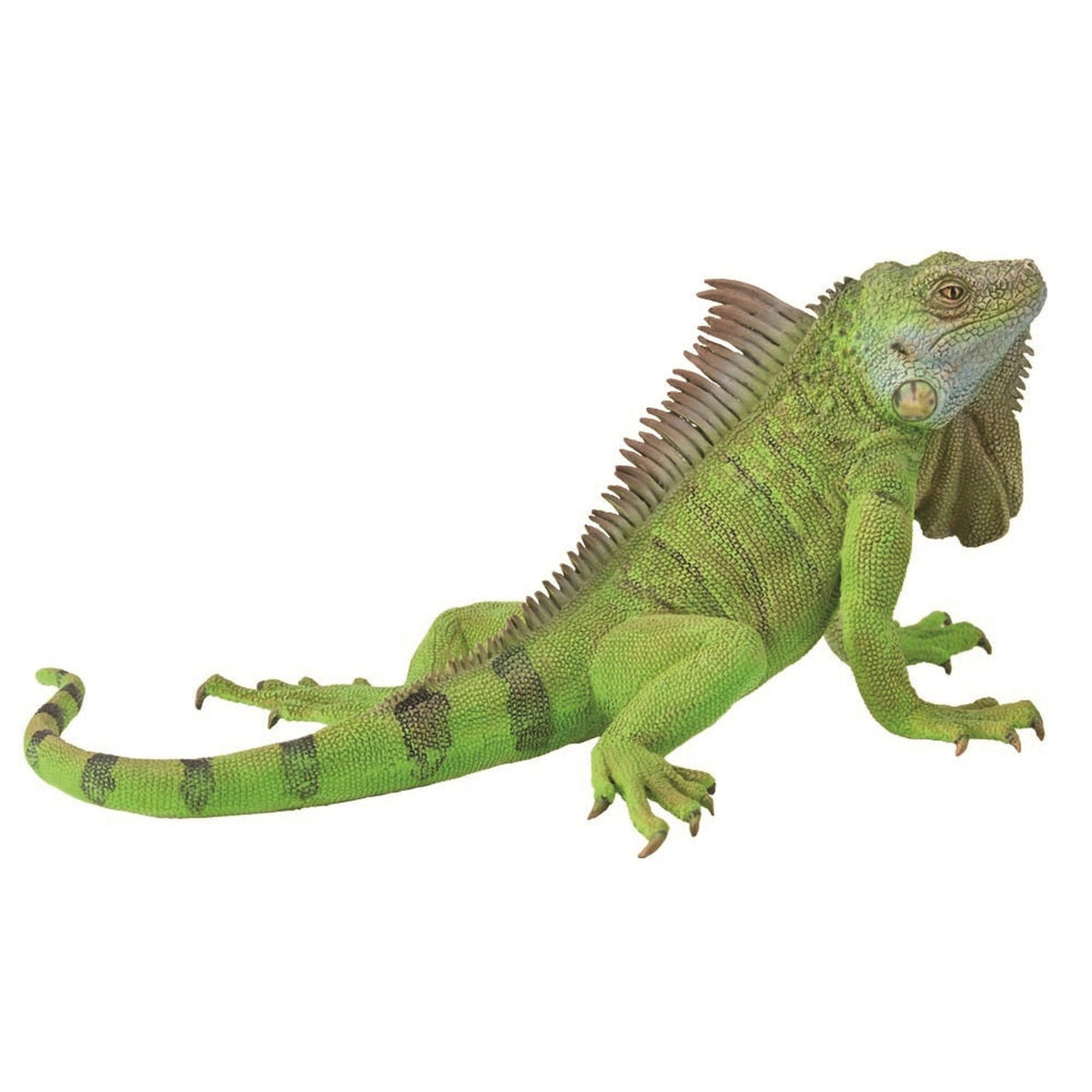 Jellycat iguana cheap