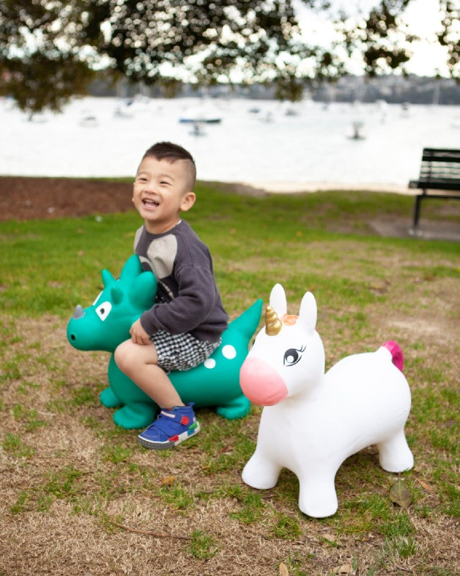 Dinosaur best sale space hopper